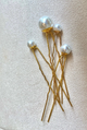 Rituals of love bridal gift box hair pins