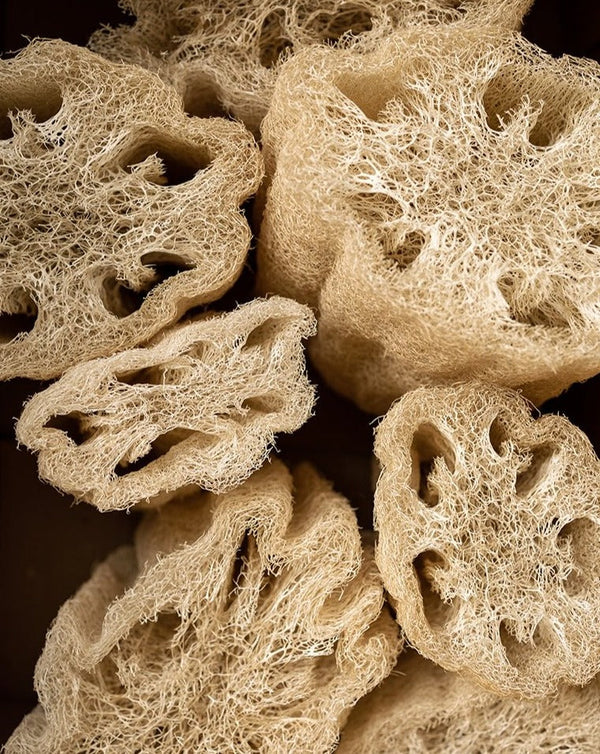 vancouver local canadian spa gift box, birthday, sympathy gift